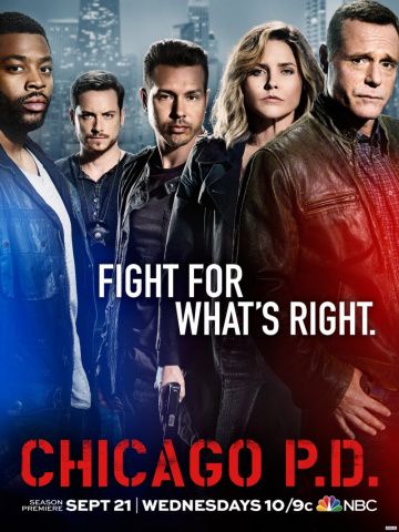 Полиция Чикаго 11 сезон 13 серия